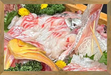 ベーシックコース